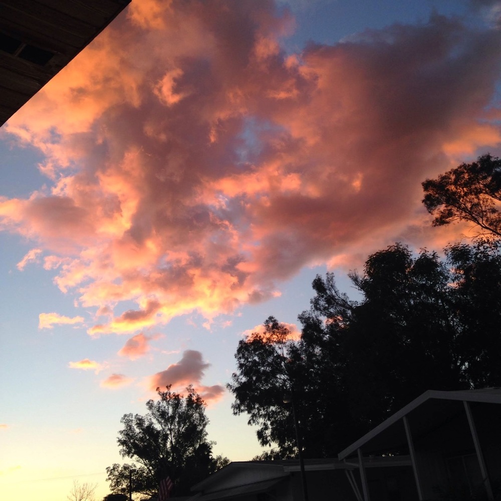 Meet your Posher, Kyra